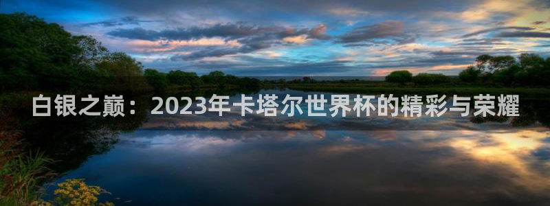 26世界杯：白银之巅：2023年卡塔尔世界杯的精彩与荣耀
