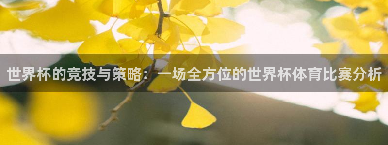 世界杯女足直播：世界杯的竞技与策略：一场全方位的世界杯体育比赛分析