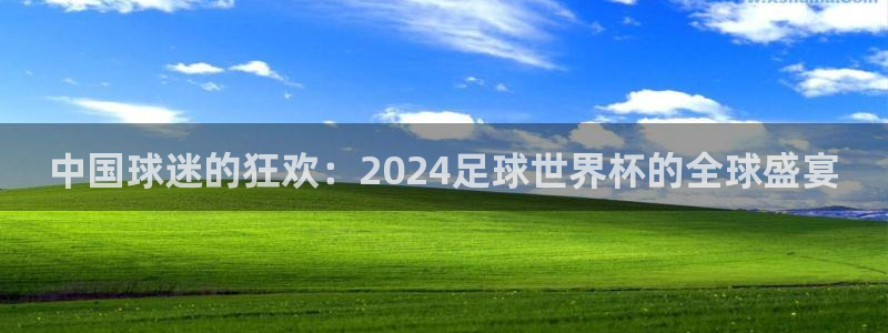 世界杯直播网：中国球迷的狂欢：2024足球世界杯的全球盛宴