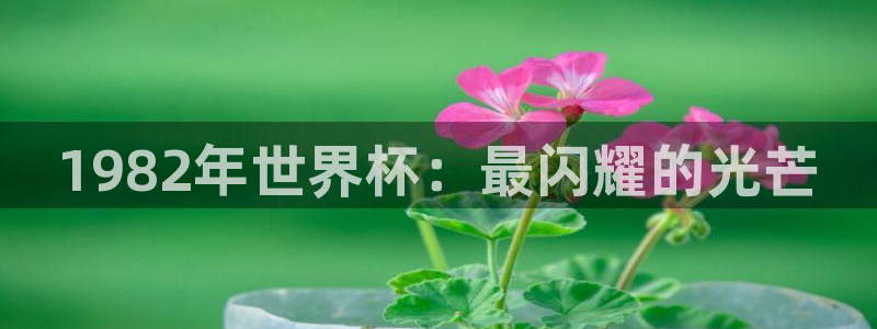 世界杯足球2026：1982年世界杯：最闪耀的光芒