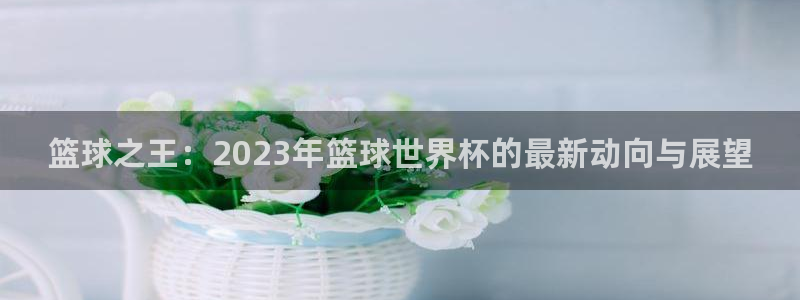 世界杯足球直播：篮球之王：2023年篮球世界杯的最新动向与展望