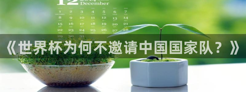 2026世界杯赛：《世界杯为何不邀请中国国家队？》