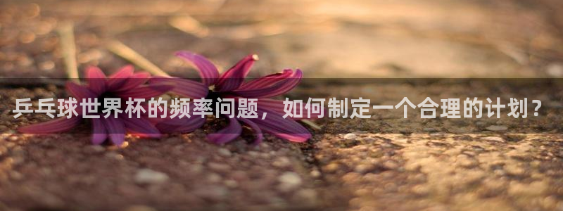 世界杯直播高清：乒乓球世界杯的频率问题，如何制定一个合理的计划？