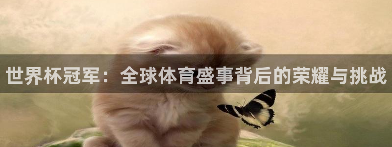 2026世界杯赛：世界杯冠军：全球体育盛事背后的荣耀与挑战